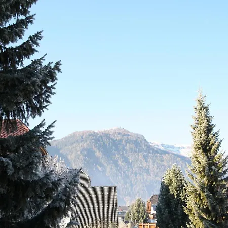 Alpensteinbock Ii * Mauterndorf (Salzburg)